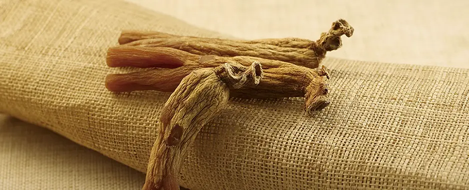 高麗蔘/高麗紅蔘對疲勞、壓力的效果